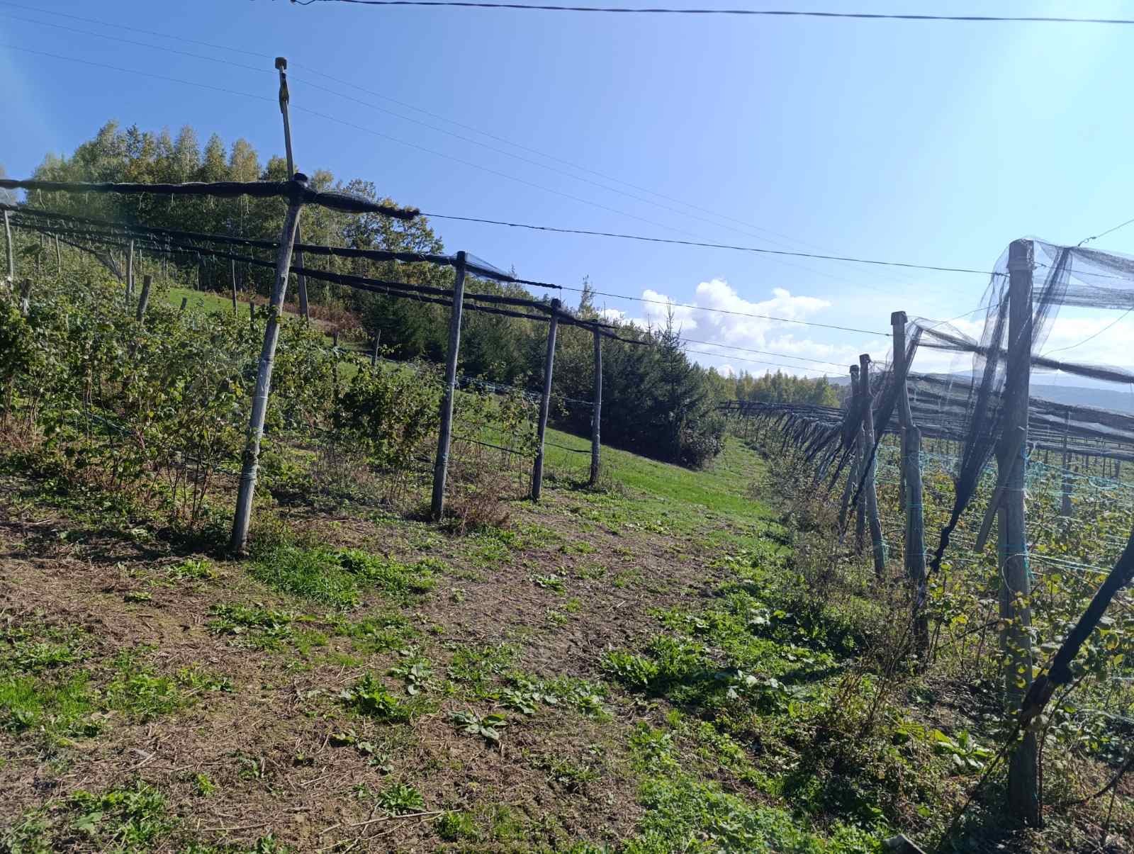 Fotografije kontrola 2024 27